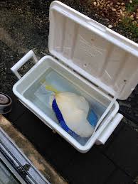 Keep turkey in original wrapper and place on tray. My Turkey Is Still Frozen Ignoringlimits
