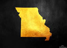 On sundays, he preached, but on the other days, he walked aimlessly throughout the area with his gun on his shoulder and his dog at his heels. Missouri Gold Abconcepts