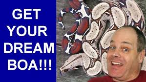 7 WORST Reptile Products EVER!!!