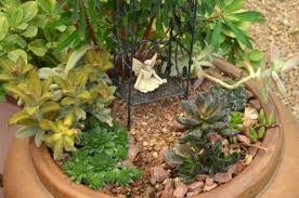Check spelling or type a new query. Container Ideas Miniature Succulent Fairy Gardens Birds And Blooms