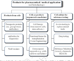 We did not find results for: Figure 2 From Bioreactors And Cultivation Systems For Cell And Tissue Culture Semantic Scholar
