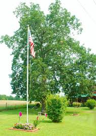 Check spelling or type a new query. Morning Walkabout 3 Flag Pole Garden Renaissance Musings