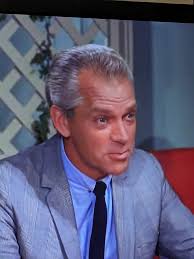 Which celebrity would you like to see guest star