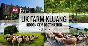 Maybe you would like to learn more about one of these? Uk Farm Kluang In Johor Great Choice For Family Vacation Review