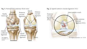 Each file and directory in your storage account has an access control list. Acl Tears In Teens Hughston Clinic