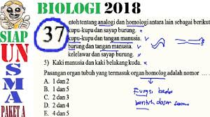 Faktor terakhir yang mempengaruhi kecepatan pertumbuhan penduduk suatu daerah adalah perpindahan (migrasi) atau mobilitas penduduk yang. Asas Biologi Penduduk Maklumat 2021