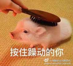 ghim của 危楼tren llllllll