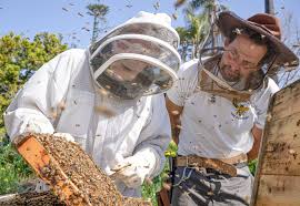We have reviewed the best ones for you! Backyard Beekeeping Generates Buzz In North County The Coast News Group