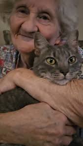 Decorating with Window Clings and Fun Additions