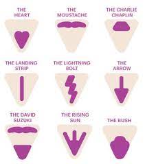 Pin On Ideas