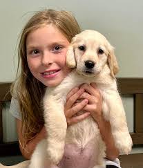 Renee Dorr's Instagram, Twitter & Facebook