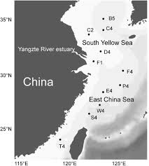 Traduisez vos textes avec le service gratuit deepl traducteur. Frontiers Extracellular Enzyme Activity And Its Implications For Organic Matter Cycling In Northern Chinese Marginal Seas Microbiology