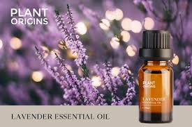 Check spelling or type a new query. Healthy Snacks Malaysia Plant Origins Lavender Essential Oil