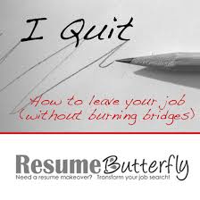 without burning bridges) resume butterfly