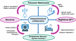 Image result for Nocturia