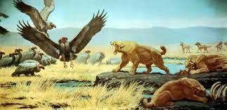 Kilic Disli Kaplan Ile Ilgili Gorsel Sonucu Prehistoric Animals Extinct Animals Prehistoric Creatures