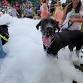 2026 Pupstock ™ Festival