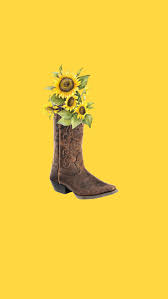 Cactus Aesthetic Cute Cowgirl Wallpaper Iphone Tons of awesome cow aesthetic wallpapers to download for free.