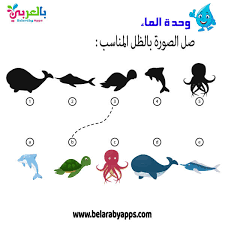 اوراق عمل عن وحدة الماء رياض اطفال Pdf تمارين إدراكية بالعربي نتعلم