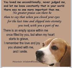 When You Ve Had To Say Good Bye Dog Poems Pet Loss Animal Quotes