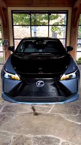 Image result for Black Onyx 2023 RZ