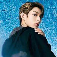 steven music, videos, stats, and photos