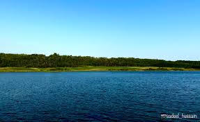 Alberta Wants To Hand Off Management Of 164 Provincial Parks To Focus  Spending On 'High-Value Areas' | Globalnews.Ca