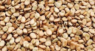 In botanica, secondo l'antica classificazione scientifica il nome latino della fava è vicia faba: Fave Secche 5 Ricette Semplici E Incredibili Per Cucinarle