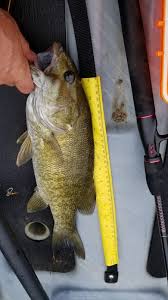 We did not find results for: Lake Cumberland Ky Fishing Reports Map Hot Spots