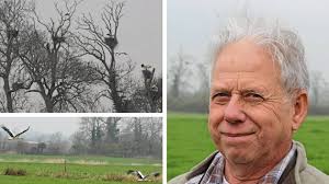 Les cigognes passionnent Alain depuis trente ans