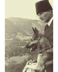 Dr Selim Erdogan On Twitter 1 Bu Aralar Sikca Karsilastigimiz Bir Yaniltmaca Mustafa Kemal Ataturk Un Hayvan Sevgisini Gostermek Icin Bu Kurguya Ne Gerek Var Alp Alber Foks Yetmiyor Bazilarina Photoshopla Tarih Uretiyorlar
