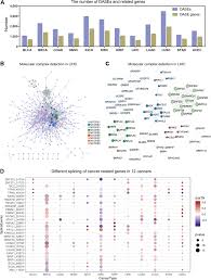 Read on to learn about cancer and how it's treated. Different Alternative Splicing Events Dases In The 12 Cancers Dastn Download Scientific Diagram