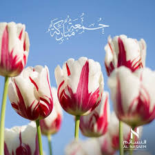 جمعة مباركة Flowers Plants Rose