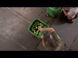 Espn sports science table tennis, espn sports science table tennis. Fsn Sport Science Episode 3 Reaction Time Tennis Test Youtube