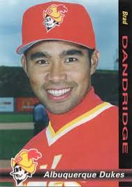 Brad Dandridge Gallery