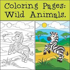 The zebra, or hippotigris or tiger horse, is an animal of the equine family, like the horse or donkey. Coloring Pages Wild Animals Little Cute Zebra Clipart Image