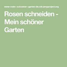 Rosen Richtig Schneiden Rhododendron Schneiden Bepflanzung Garten