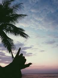 Shaka Aloha Vibes Surf Sun Sand Love And Friends The Summer Never Ends A Good Mega Chill Apple Music Pla In 2020 Aloha Vibes Chill Wallpaper Summer Vibes Beach