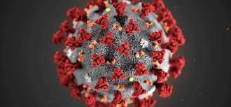 Cytodyn Inc Expects To Hear A Completion Date From The Fda Next Month For Its Leronlimab License Application