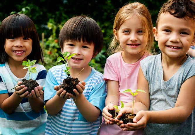 Growing Curiosity in Kids! - KITS