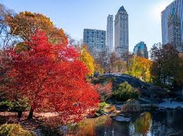 Wednesday November 20th 2019 Good Morning Viewing Nyc I Love Nyc Good Morning New York City