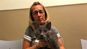 That's why you're selective when it but what does quality veterinary care in surrounding neighborhoods of jacksonville, fl, san jose, jacksonville and lakewood, jacksonville really. Jax Nonprofit Saves Animals By Helping Low Income Pet Owners And Strays Wjct News