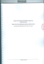 công ty cổ phần xếp dỡ và dịch vụ - báo cáo tài chính đã được kiểm ...