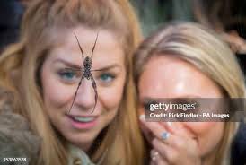 2,093 Alex Miles Stock Photos, High-Res Pictures, and Images