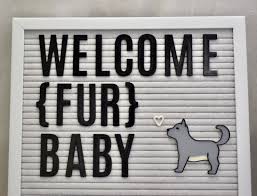 Pet Dog Letter Board Accessories Wolf Emoji For Letter Etsy Pet Paw Print Lettering Dog Emoji