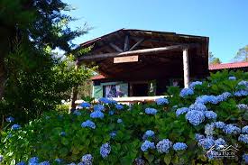 Check spelling or type a new query. Cabana Chicui Capacidad Para 9 Personas Picture Of Villa Pajon Eco Lodge Dominican Republic Tripadvisor