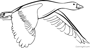Plus, it's an easy way to celebrate each season or special holidays. Simple Flying Goose Coloring Page Coloringall