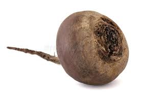 Image result for root-tail