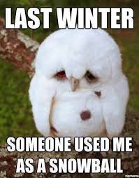 Funny animals with captions funny animal quotes animal jokes cute funny animals funny animal pictures funny cute funny photos hilarious cute animals with sayings, puppy: Best Funny Quotes On Photography Best Funny Quotes 35 Funny Quotes That Will Make Your Day Dogtrainingobedienceschool Com
