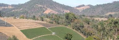 In some cases, pest, growth and yield and economic models are linked to make projections of pest and disease impacts. Without Insecticides 1 2 Billion Pounds Of Sugar From Australia Would Not Be Produced Croplife International